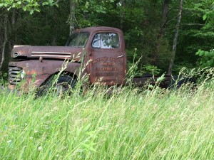 IMG_1298